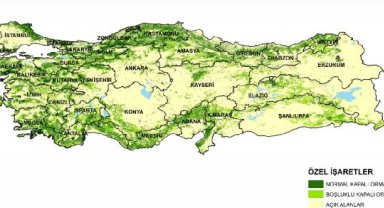 Türkiye'nin en yeşil kentleri