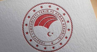 'Uzman Eller Projesi'ne 300 milyon TL hibe