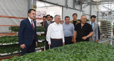 Vali Yazıcı: Antalya, fide üretiminde tüm dünyaya hizmet ediyor