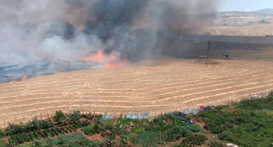 Yangında 130 dönüm alan zarar gördü