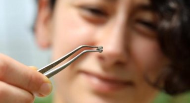 Nohutun Kalbi Anadolu'da bulundu