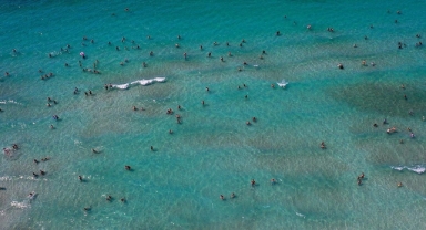 1,5 ayda 82 kişi boğuldu