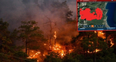 1120 futbol sahası büyüklüğünde alan etkilendi