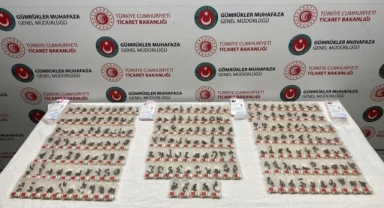 1240 canlı arı ele geçirildi