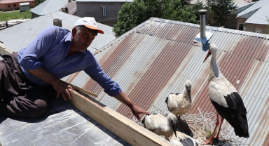 20 yıldır yuvalarını terk etmiyorlar