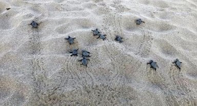 25 sahilde gece yasağı