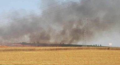 40 dönüm kül oldu