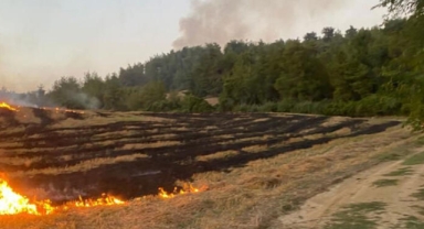Adana'da anız ateşi ormanı yaktı