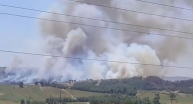 Adana'da orman yangını