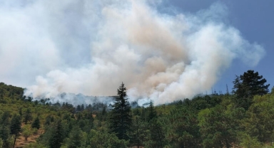 Afyonkarahisar'da orman yangını