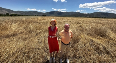 Ameliyathaneden tarlaya!