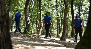 Ankara'da ormanlık alanlara girişler 30 Eylül 2023'e kadar yasaklandı