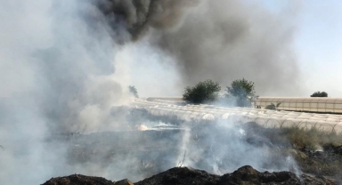 Antalya'da binada çıkan yangın seralara sıçradı