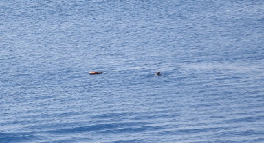 Antalya'da insansız can kurtaran robotu, işitme engelliyi kurtardı