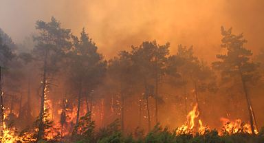 BU CEHENNEMİ BİZ YARATIYORUZ!