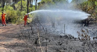 Antalya'da orman yangını kısa sürede söndürüldü