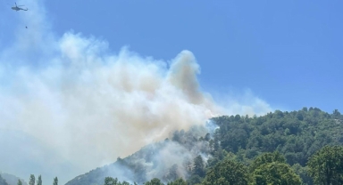 Balıkesir'de orman yangını çıktı