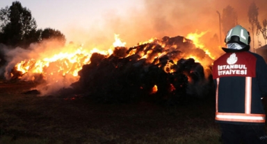 Binlerce bağ ot yandı