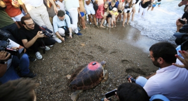 Bir yılda 3 bin km yol katetti