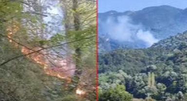 Bursa’da orman yangını; helikopterle müdahale ediliyor