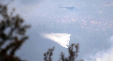 Çanakkale'deki orman yangını devam ediyor