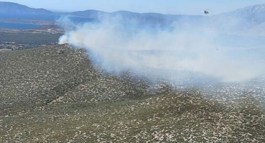 Çeşme'de orman yangını