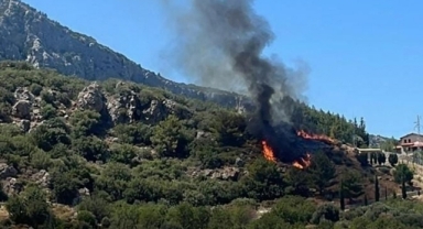 Datça'da orman yangını çıktı