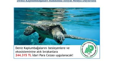 Besleyene büyük ceza 