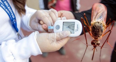 Diyabet hastalarına sivrisinek uyarısı