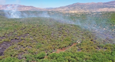 Diyarbakır'da orman yangını