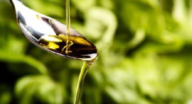 Edremit Zeytini AB'den coğrafi işaret tescili aldı 