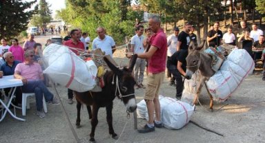 Eşeğe saman yükleme yarışması ilgi gördü