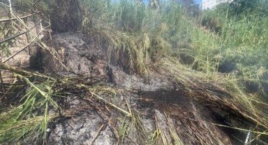 Falezlerde çıkan yangında hayvanları için ağladı