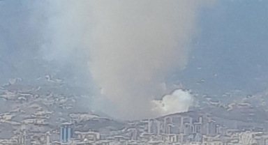 Hatay'da orman yangını