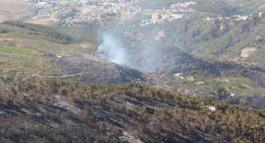 Hatay'daki orman yangını kontrol altına alındı