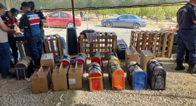 Horozlara el konuldu