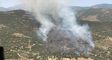 İzmir'de orman yangını