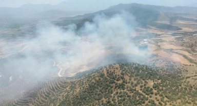 İzmir'de tarlada çıkan yangın, ormana sıçradı