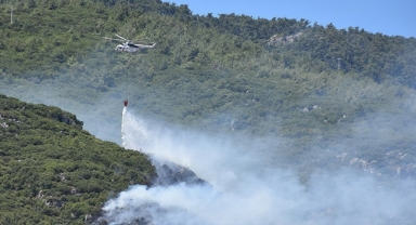 İzmir'in Kemalpaşa ilçesinde orman yangını 