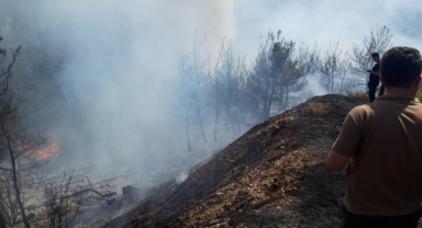 İzmir'in Kemalpaşa ve Menemen ilçelerinde orman yangını çıktı