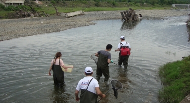 Karadeniz'de görülmesi imkansız denilen 