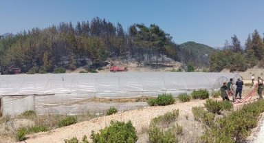Kaş'ta 2 hektarlık kızılçam ormanı yandı
