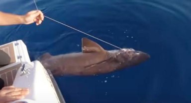 ‘Hava atmak için işkence ediyorlar’