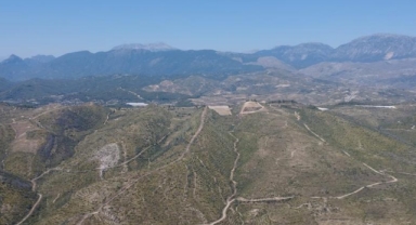 Manavgat yangınında yaralar iyileşti