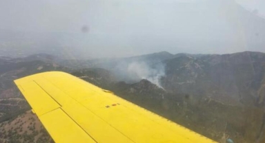 Manisa'da orman yangını