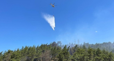 Marmaris'te orman yangını 