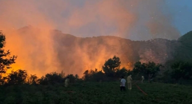 Mersin'de orman yangını; 6 saatte söndürüldü