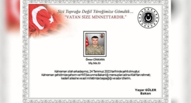 MSB: Van'da 1 asker silah kazası sonucu şehit oldu