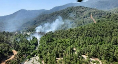 Muğla'da orman yangını