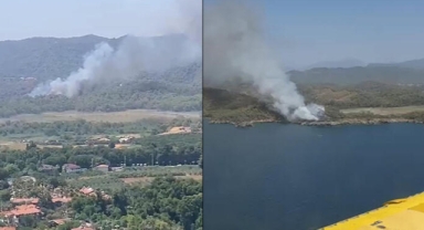 Muğla'da orman yangını